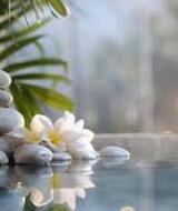 Book an Appointment with Arnie Kolodner at Omni Wellness NYC