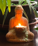 Book an Appointment with Glow Staff at West Seattle