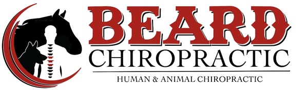 Beard Chiropractic