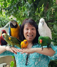 Book an Appointment with Angela Lee for Acupuncture