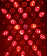 Book an Appointment with Red Light Therapy for Red Light Therapy