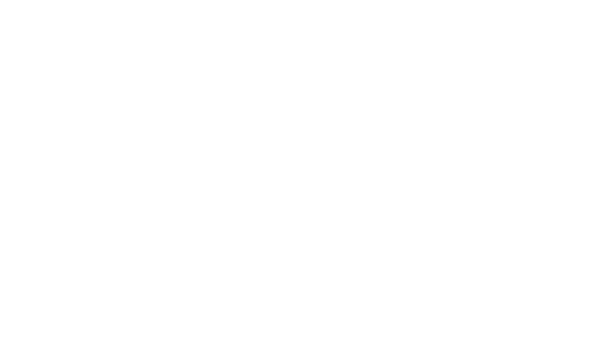Apex Performance Chiropractic