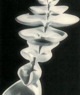 Book an Appointment with Emi Arimura at Denver