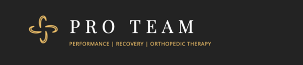 PRO Team