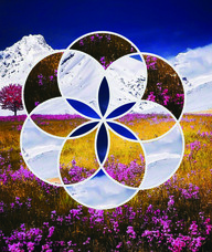 Book an Appointment with Rachel T for Massage Therapy