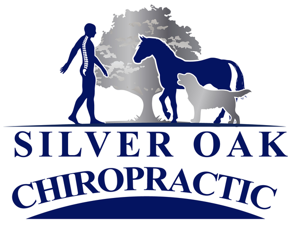 Silver Oak Chiropractic LLC.