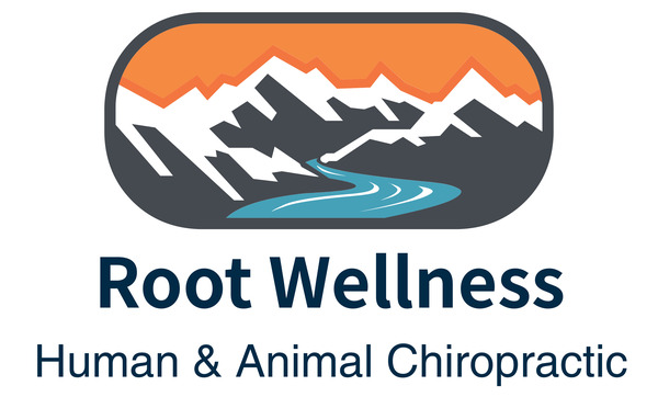 Root Wellness Chiropractic